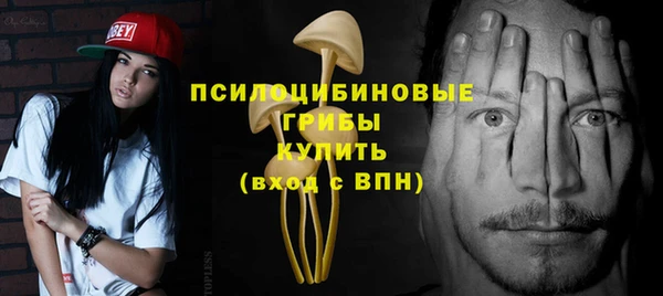дмт Алзамай